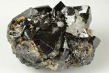 Gemmy Cassiterite Crystal Cluster - Viloco Mine, Bolivia #192178-2